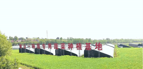 20230803152008166-52-8cbd8.png