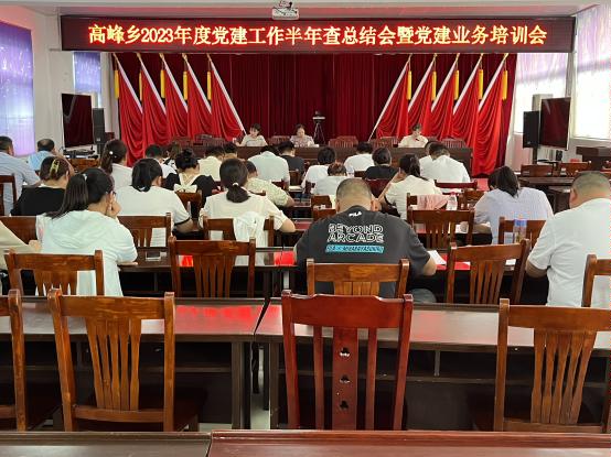 高峰鄉(xiāng)2023年度黨建工作半年查總結(jié)會(huì)暨黨建業(yè)務(wù)培訓(xùn)會(huì)