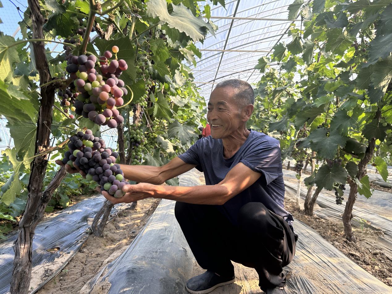 微信图片_20230801230103