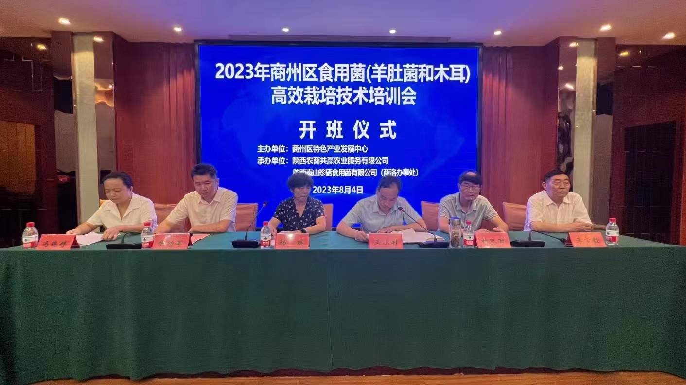 微信圖片_20230806184127