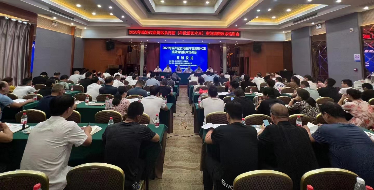 微信圖片_20230806184128