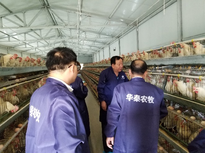 D:\陕西省家禽产业技术体系\2019年省家禽体系工作\2019年铜川、延安调研 学院新闻稿、图片\8d63b7bc834b5c8c5c4c7b1a490ab0f.jpg