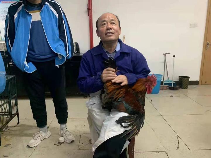 D:\陕西省家禽产业技术体系\2022年体系工作\2022年家禽体系活动照片\2021年家禽体系专家活动照片\1dcb8f5a7899d1fb5b87d7a6c71ddb7.jpg