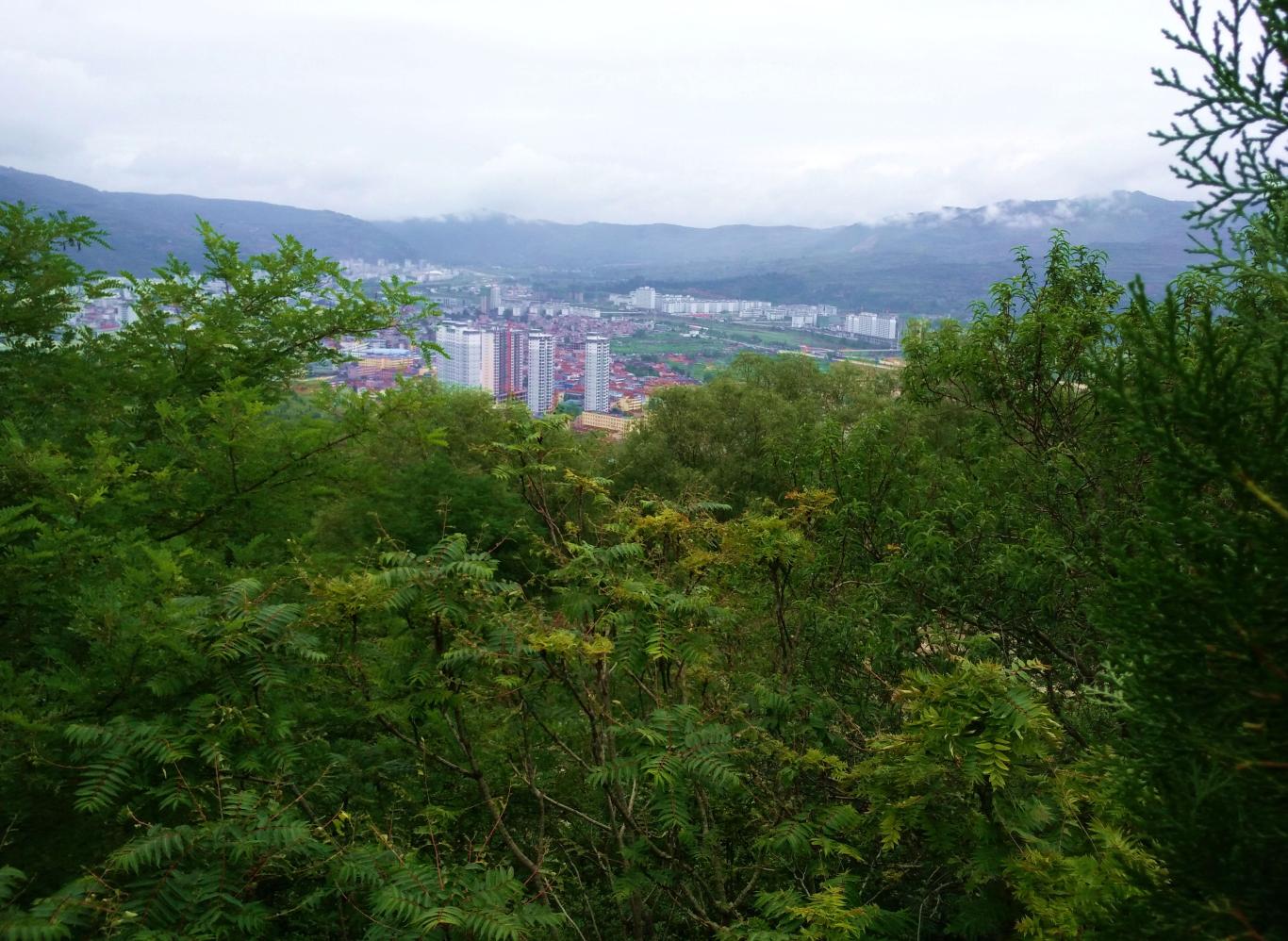 20230824121118427-74-d75da.jpg_scale_.jpg