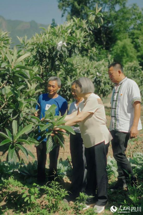 綿陽(yáng)市農(nóng)科院研究員任茂瓊（前排左一）在果園里，手把手給農(nóng)戶演示如何修枝。人民網(wǎng)記者 張若涵攝