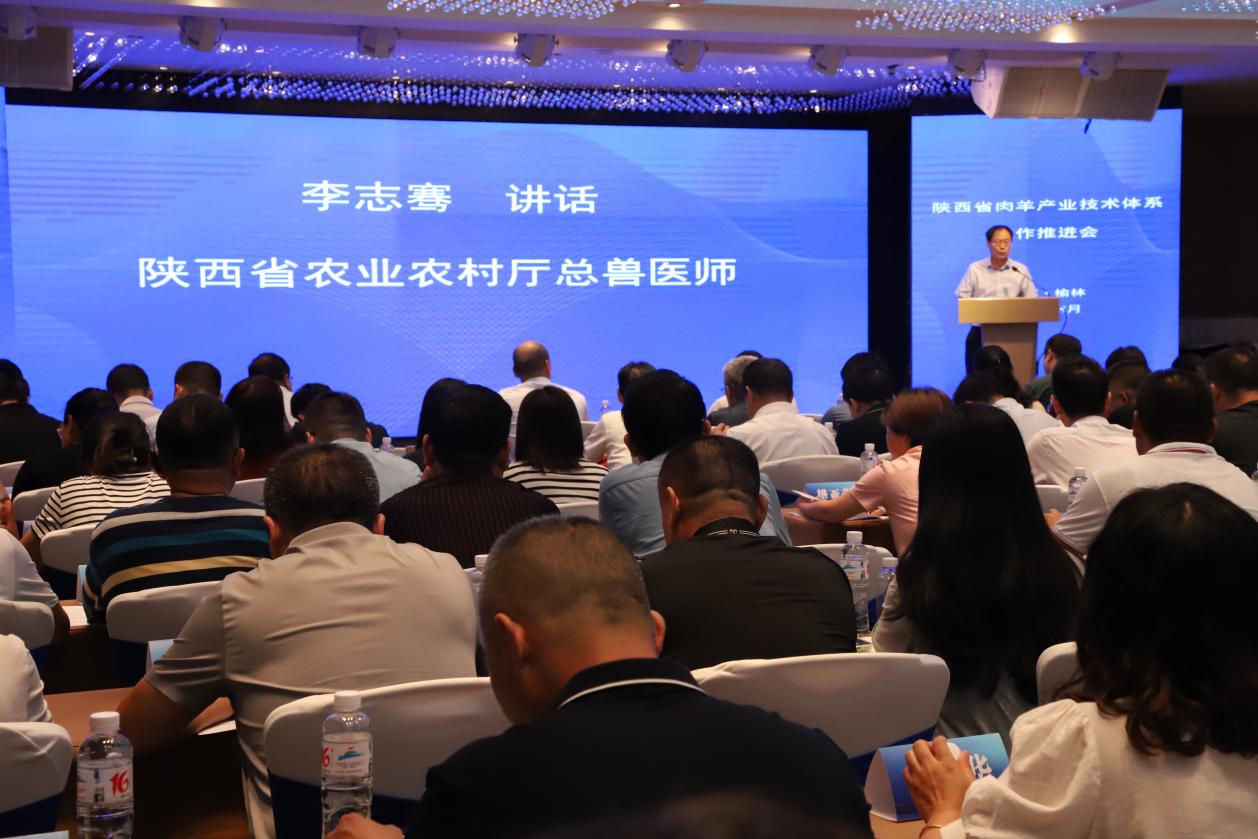 李志