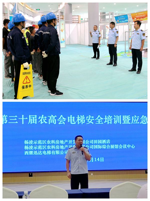 拼图3