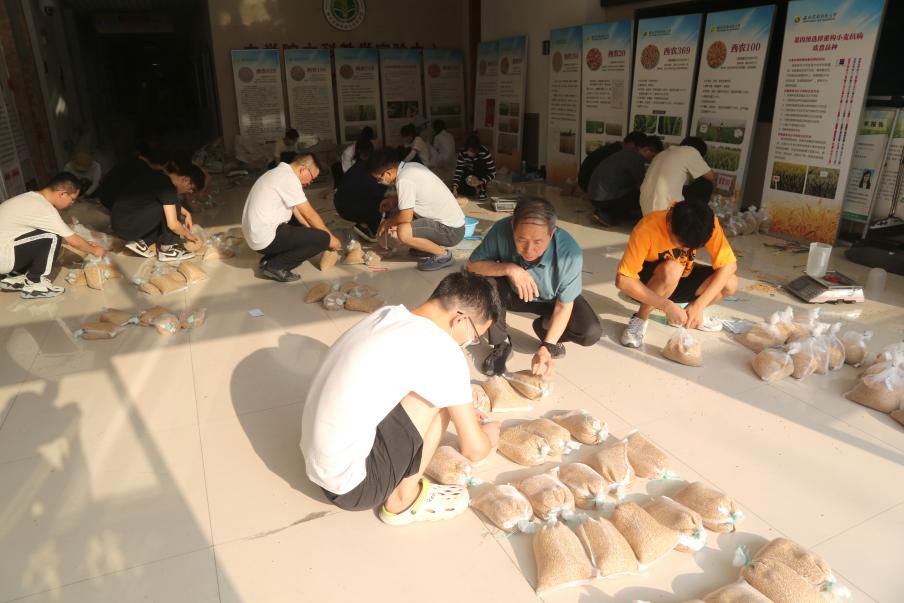 8团队研究生和老师在整理将要参加审定试验的材料