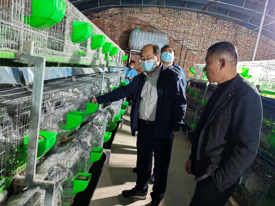 穿綠色衣服的人在街道邊走

中度可信度描述已自動生成