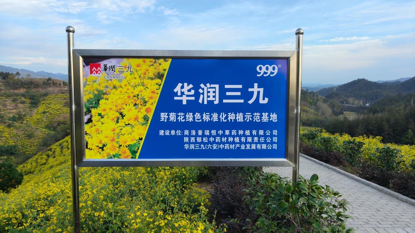 20231031174425154-90-2cfc7.jpg_scale_.jpg