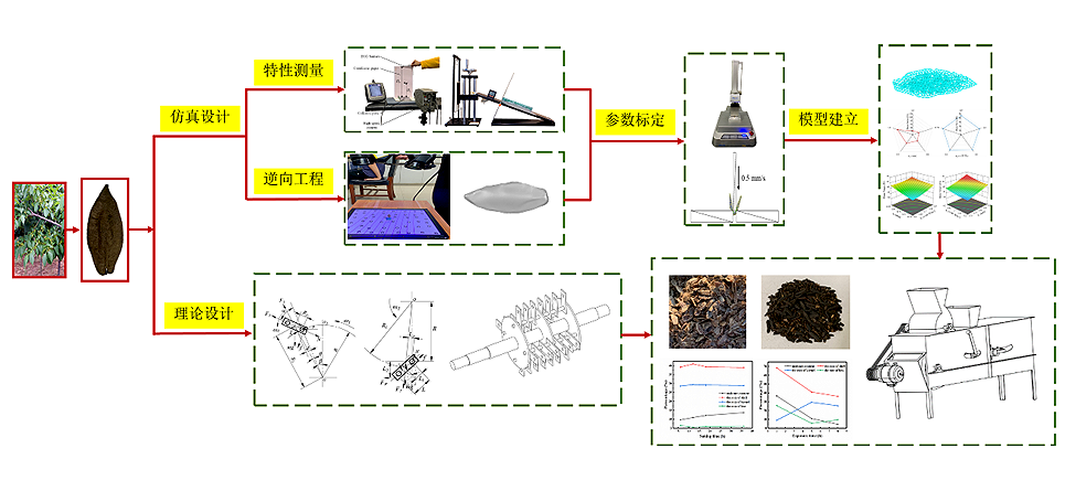 杜仲翅果規(guī)模化脫粒分選裝備研發(fā)示意圖