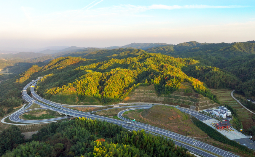高速公路穿越秋阳映衬的茫茫竹海，构成一幅人文生态画卷。何贱来摄