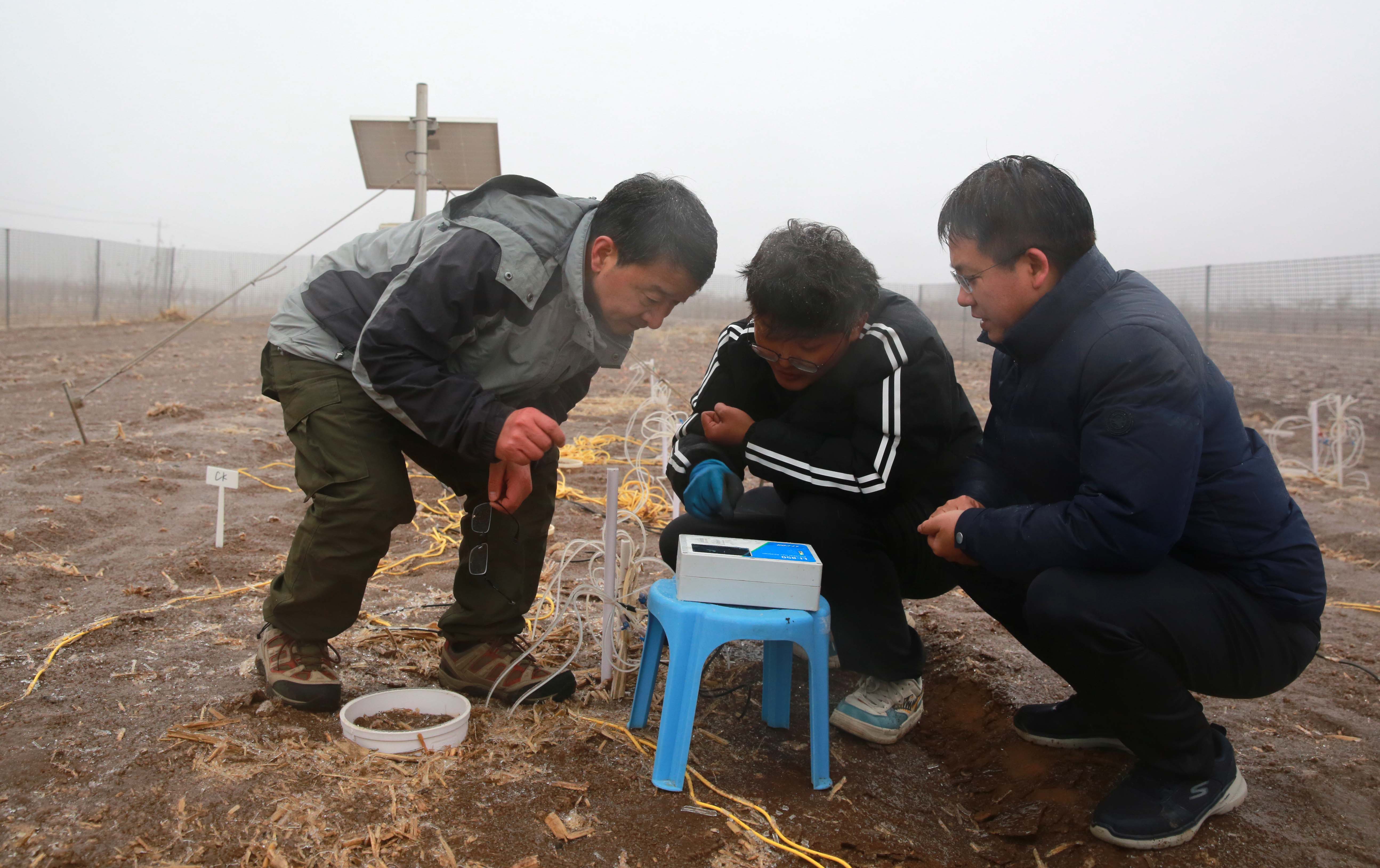 1郭胜利研究员（左）与研究生等查看低温下秸秆深还田后土壤微生物活性数据