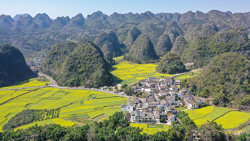 2024年2月17日，貴州省興義市萬峰林景區(qū)的油菜花海景色（無人機照片）。