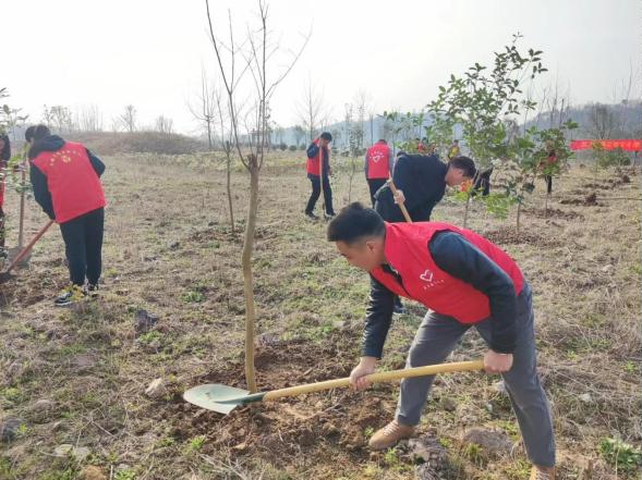 五顯鎮(zhèn)義務(wù)植樹3