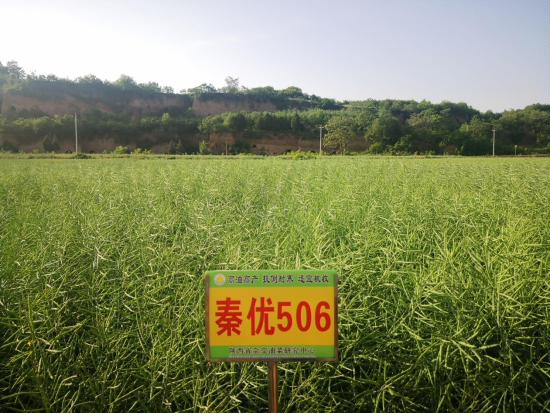 5964d811c8e4922d861d126aba228fc