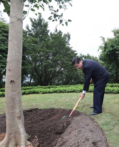 2012年12月7日至11日，習(xí)近平在廣東省考察工作。這是8日上午，習(xí)近平在深圳蓮花山公園種下一棵高山榕樹(shù)。新華社記者 蘭紅光 攝