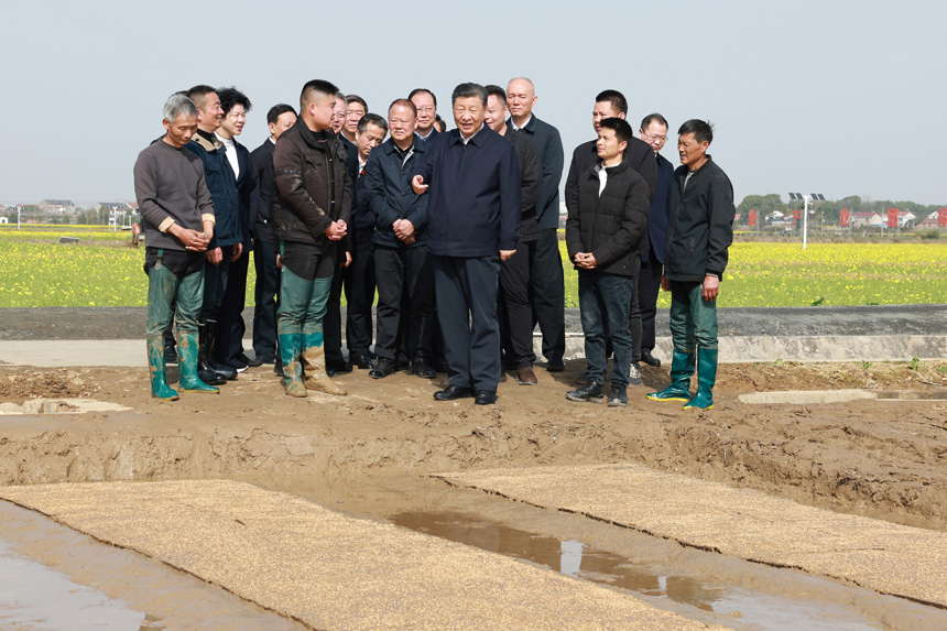 2024年3月18日至21日，中共中央總書(shū)記、國(guó)家主席、中央軍委主席習(xí)近平在湖南考察。這是19日下午，習(xí)近平在常德市鼎城區(qū)謝家鋪鎮(zhèn)港中坪村走進(jìn)田間，察看秧苗培育和春耕備耕進(jìn)展。新華社記者 王曄 攝