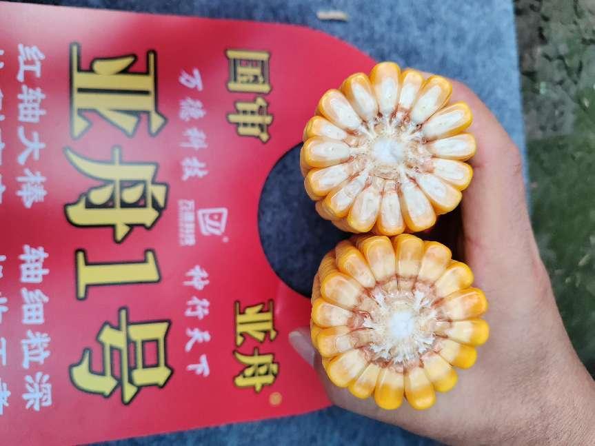 微信图片_20240924150733