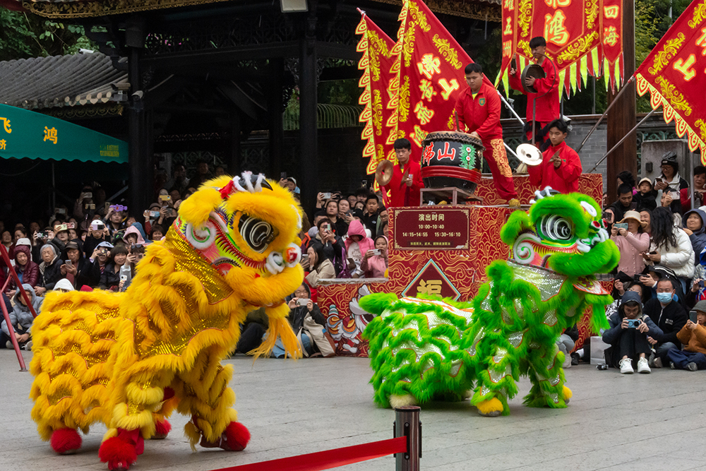 圖為廣東省佛山市祖廟的醒獅表演。