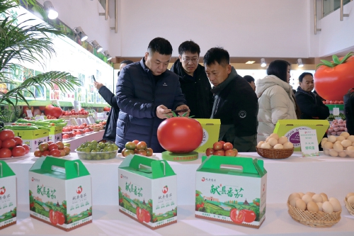 严把品质关　鲜达京津城 ——探寻献县番茄的品牌成长密码