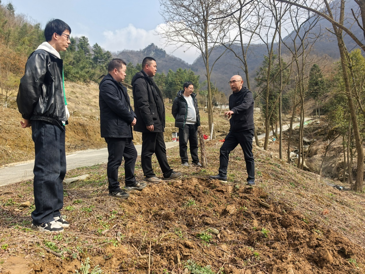 一竞技平台执科技之笔 绘春耕新卷——三抓三促行动下的魔芋产业振兴图(图3)