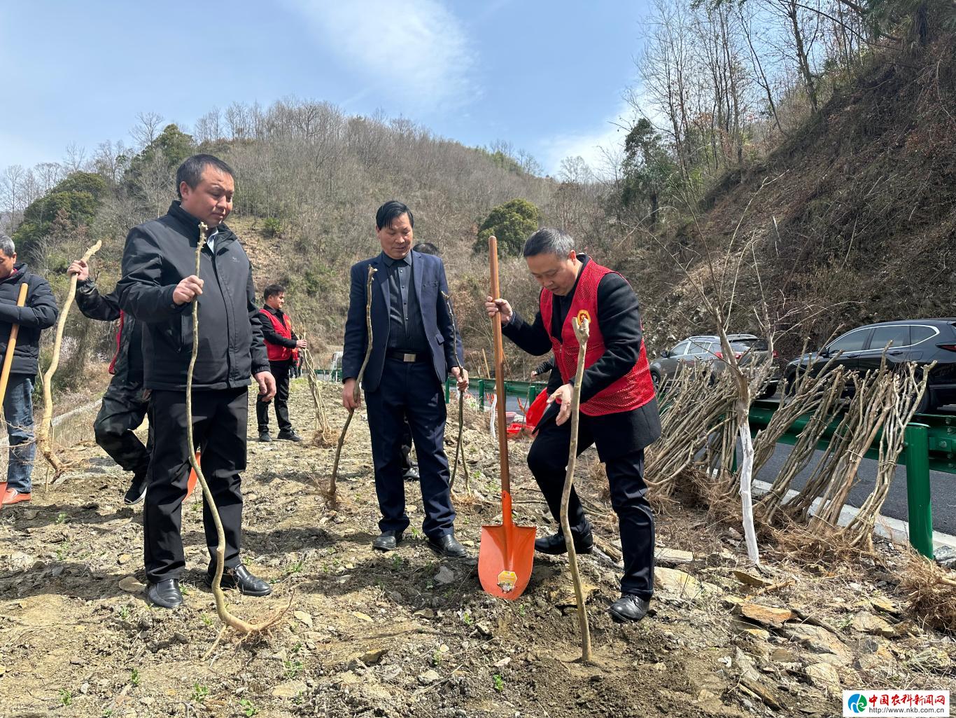 安康市汉滨区紫荆镇：“志愿红”绘就“生态绿”