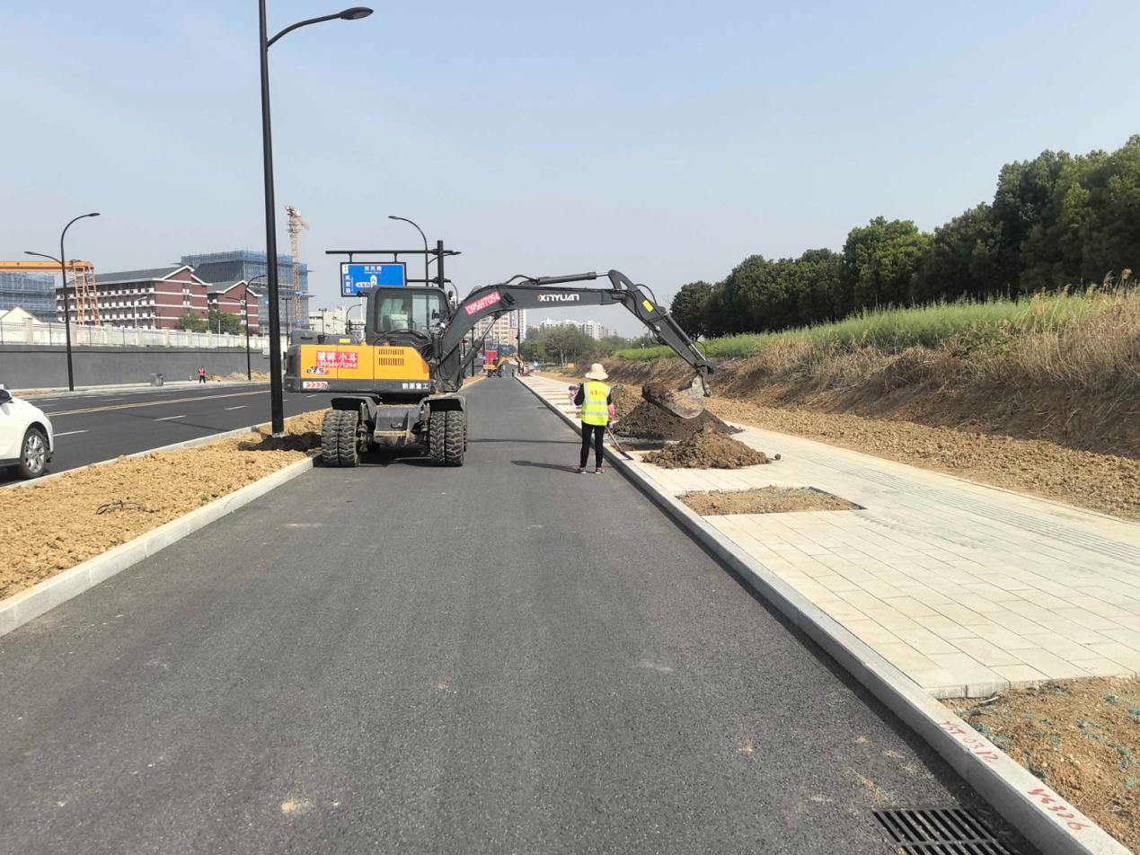 凤丹路道路绿化工程进场施工（建发中心+王钢）2