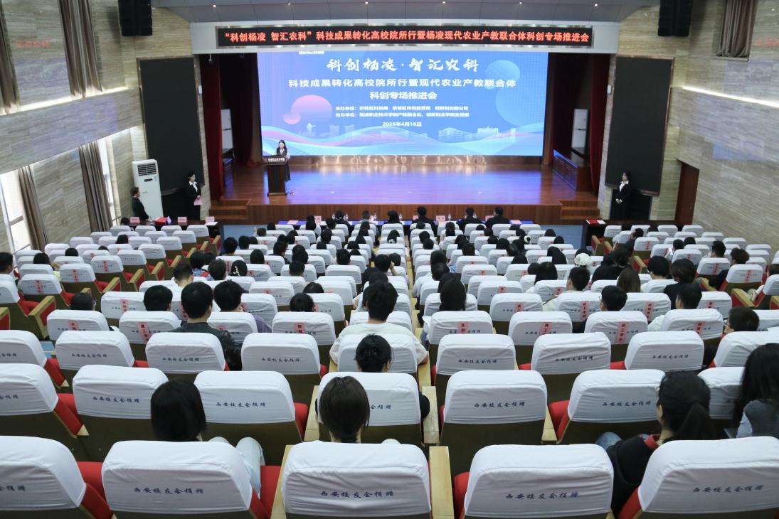 微信圖片_20250411085335