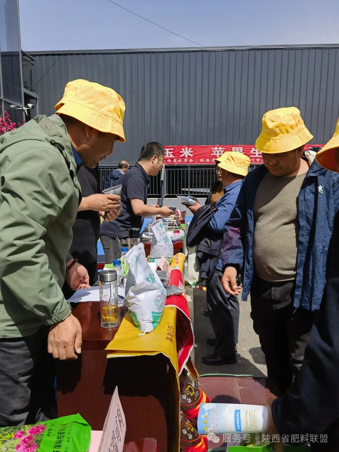 圖片