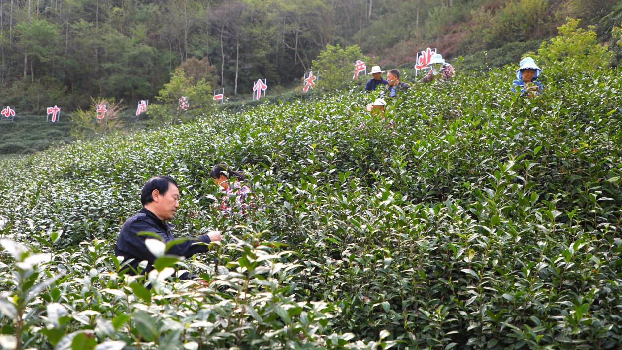 銅錢(qián)5