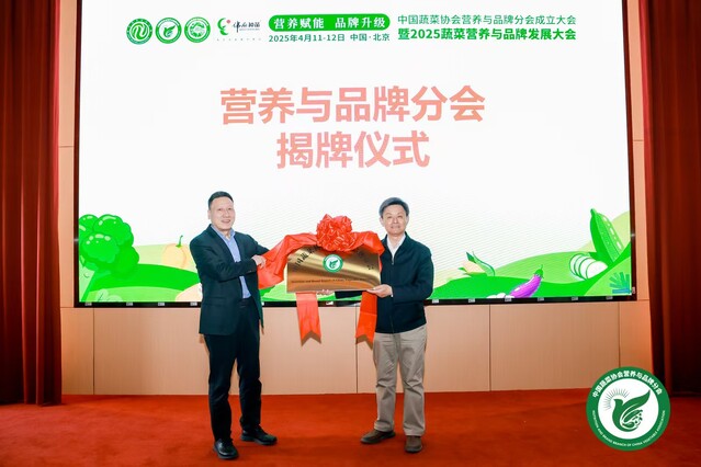 https://rmtsource.ntv.cn/files/web/online/202504/14/67fcc8849a1fb_content.jpeg