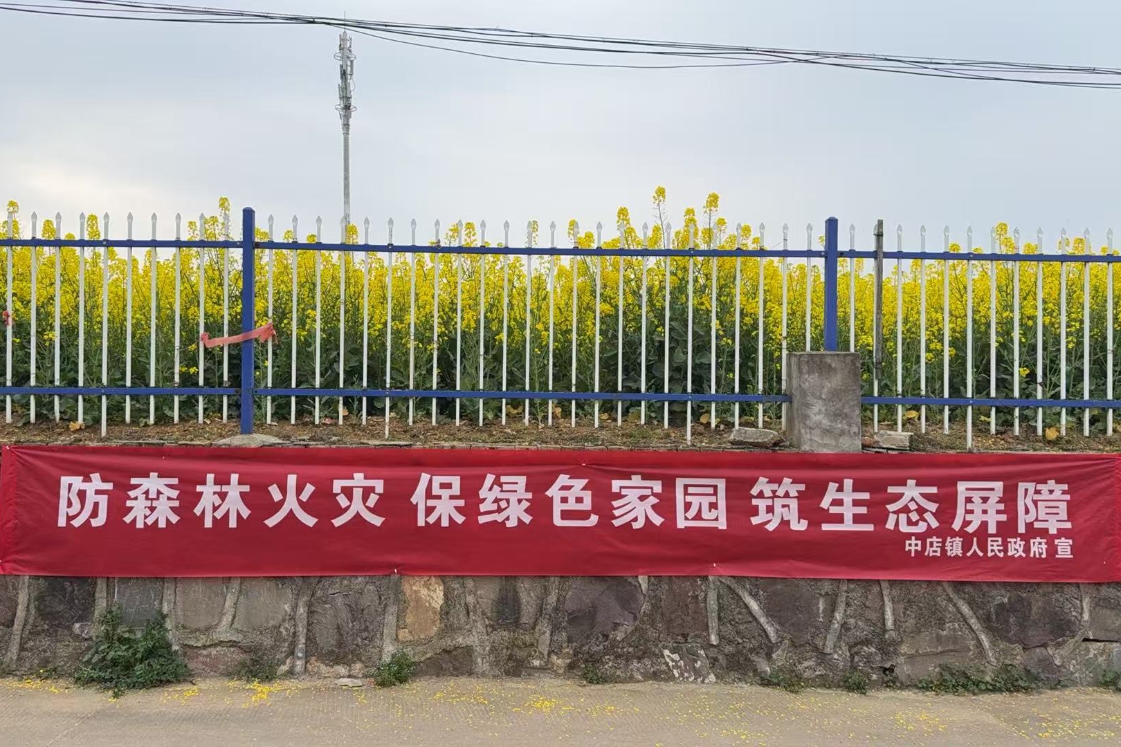 微信圖片_20250425090645