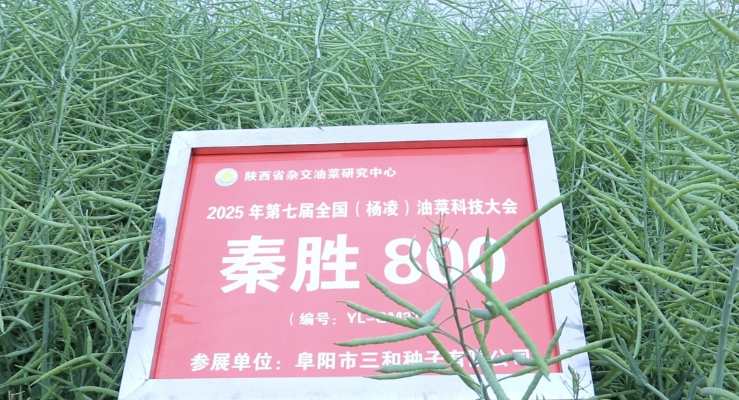 微信图片_20250509104400