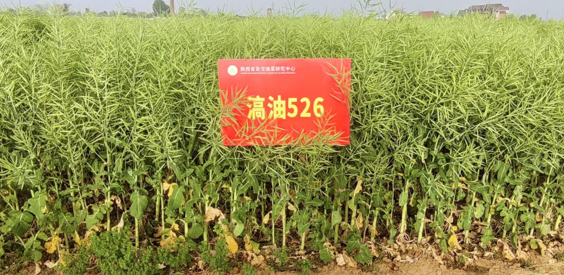 微信图片_20250509102239