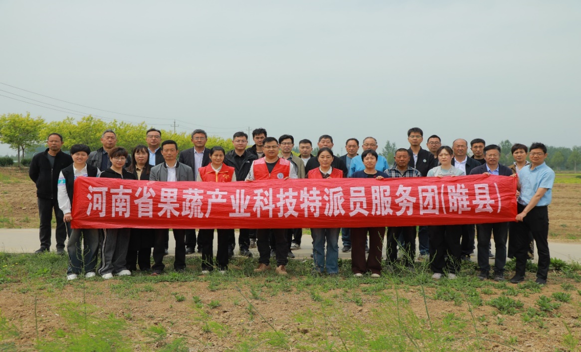F:\科技特派員工作相關(guān)\2025年睢縣服務(wù)團(tuán)工作\20250418-20睢縣潮莊蘆筍培訓(xùn)\篩選\微信圖片_20250429122148.jpg