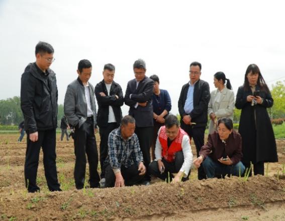 F:\科技特派員工作相關(guān)\2025年睢縣服務(wù)團(tuán)工作\20250418-20睢縣潮莊蘆筍培訓(xùn)\篩選\微信圖片_20250429122145.jpg