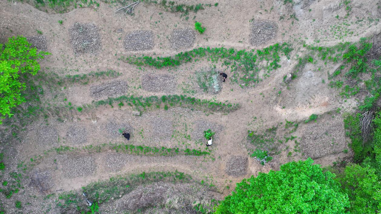 DJI_20250422174546_0747_D