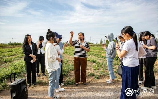 林秋芳（中拿話筒者）為記者們津津樂道其創(chuàng)業(yè)“來時路”