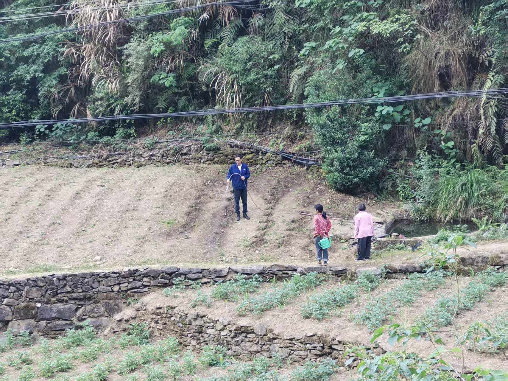 img4