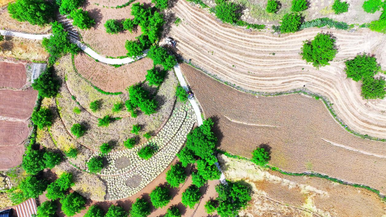DJI_20250516142537_0131_D