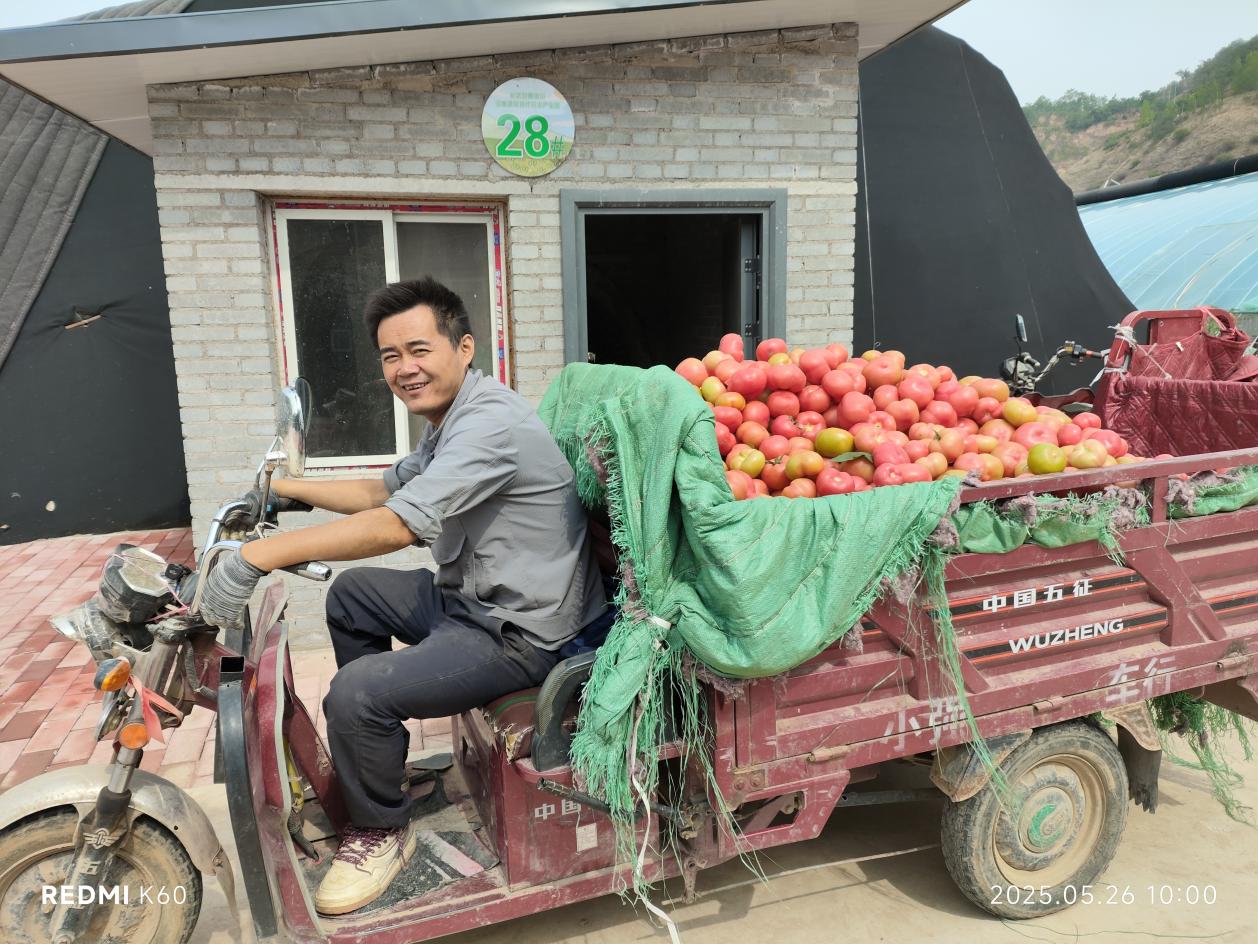 柿子車?yán)瓐D