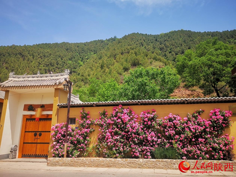神玉村靠公路的農(nóng)戶，家家都有“花墻”。人民網(wǎng) 王麗攝