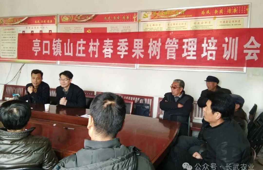 图片 5