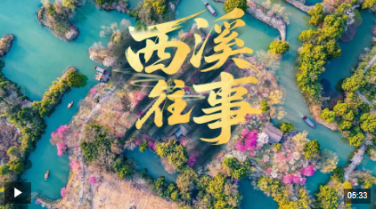 20250605084726562-28-3529c.png