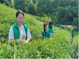 云图片