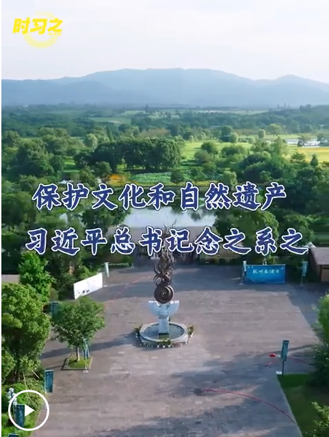 20250614200804737-50-cb7c2.png