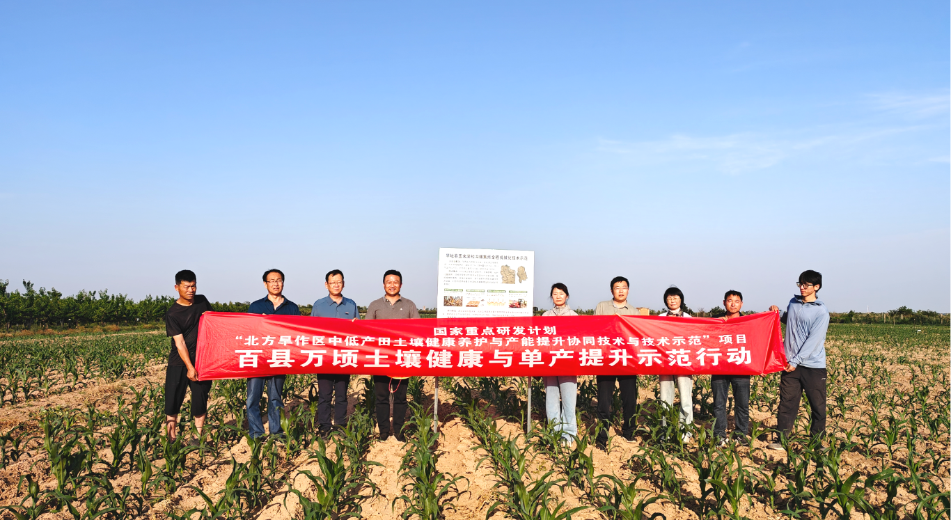 20250615000819310-56-fe8a4.png_scale_.png