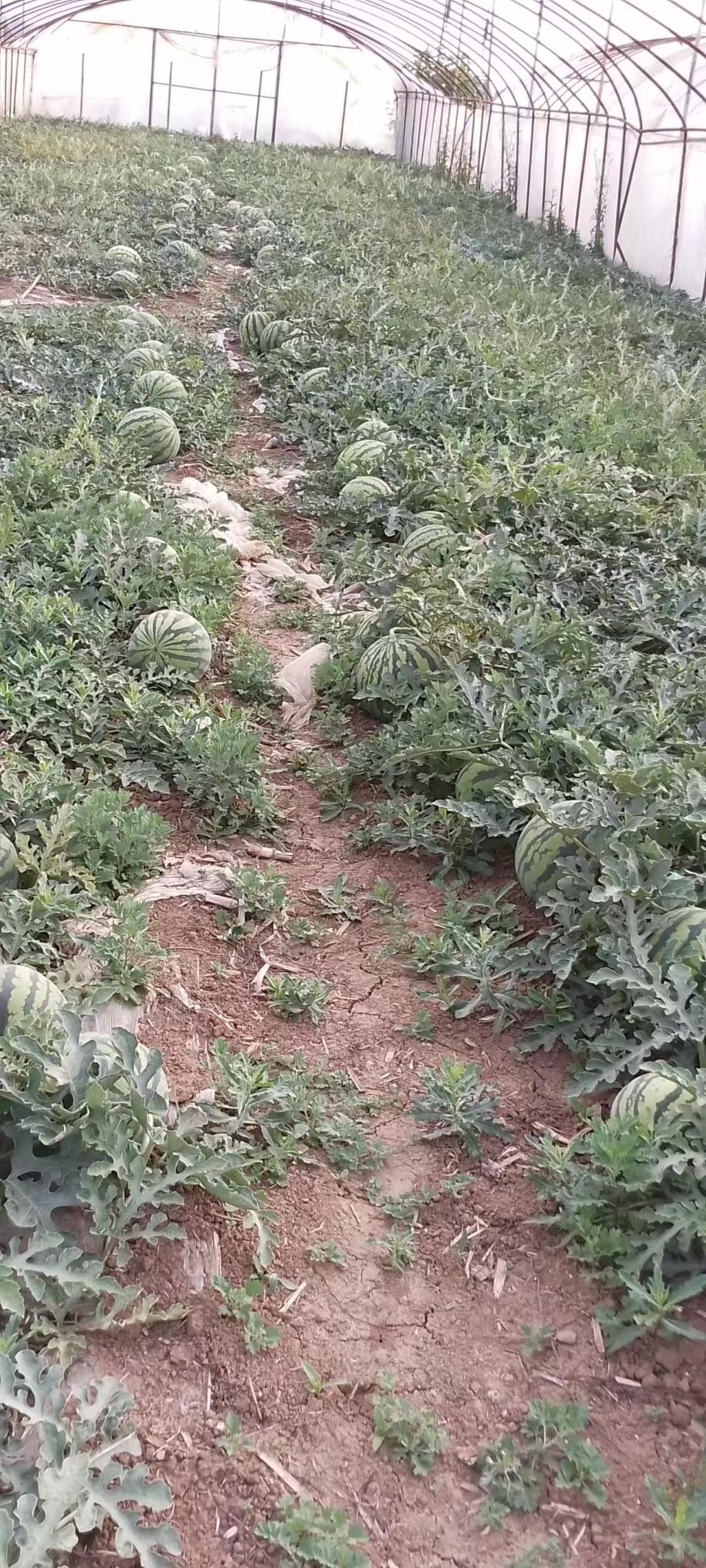 2d144562cbd4841e86820a3c320e522