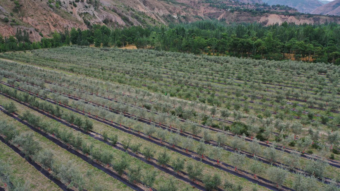 20250623104819574-54-42cca.jpg_scale_.jpg
